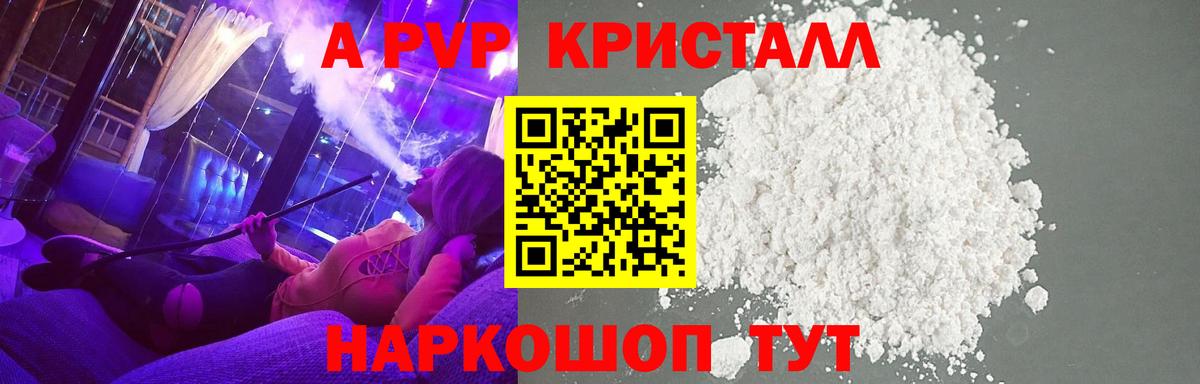 Alfa_PVP СК Бийск