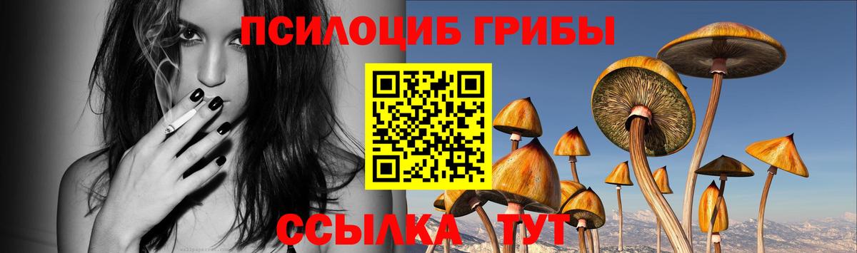 Псилоцибиновые грибы Psilocybine cubensis Бийск